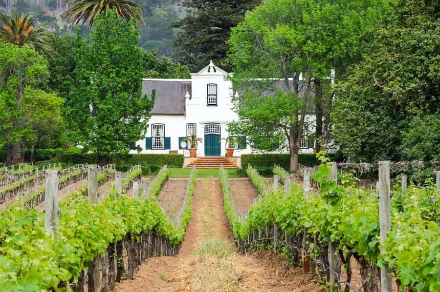 Cape Town: Guided Winelands Tour & Tasting in Stellenbosch - Zevenwacht Wine Estate and the cellar visit