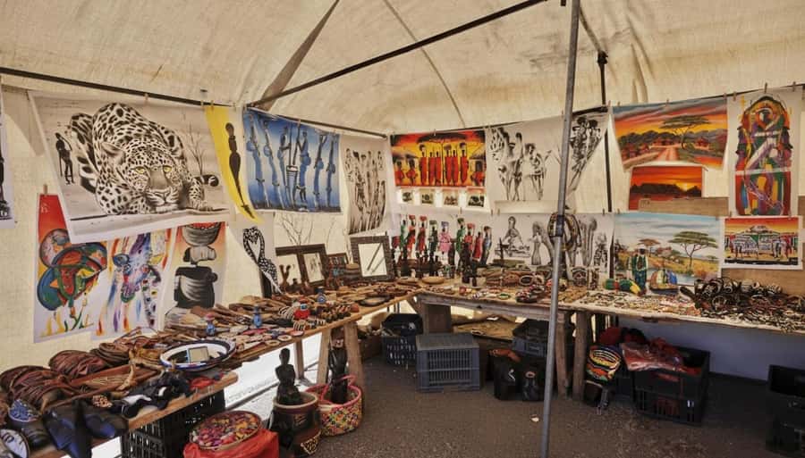 Cape Town: Half-Day Guided Township Tour - Why this half-day tour matters in Cape Town