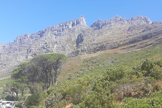 Cape Town Halfday City and Table Mountain Tour - Central Cape Town passes by the window