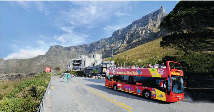 Cape Town: Hop-On Hop-Off Bus Tour with Optional Cruise - Table Mountain is the tour’s most practical stop