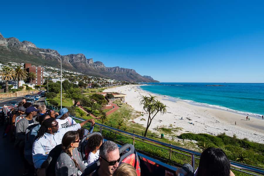Cape Town: Hop-On Hop-Off Bus Tour with Optional Cruise - Use the purple route for Constantia wine country