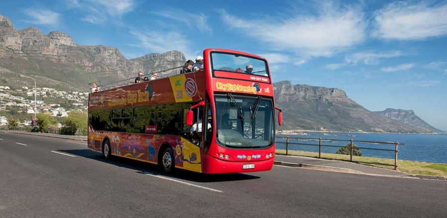 Cape Town: Hop-On Hop-Off Bus Tour with Optional Cruise - Add the harbor cruise for a different view