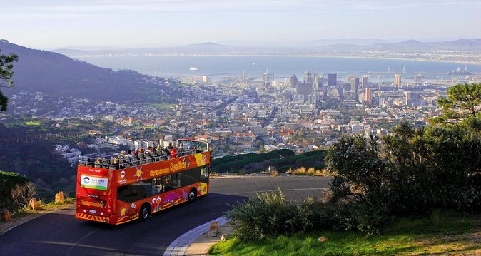 Cape Town Hop-On Hop-Off City Tour with Optional Cruise - Why this bus works so well in Cape Town