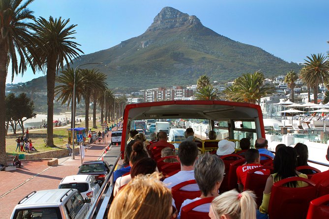 Cape Town Hop-On Hop-Off City Tour with Optional Cruise - Adding the harbor cruise and walking tours