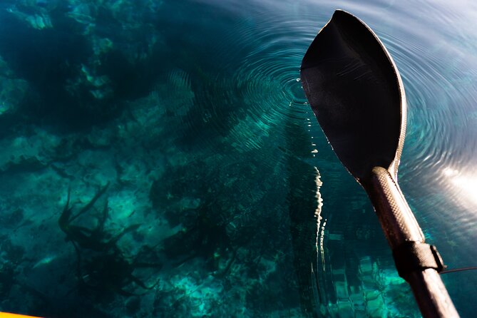 Cape Town Kayak Adventure in Table Mountain Marine Reserve - Paddling the Atlantic toward Clifton or the Waterfront