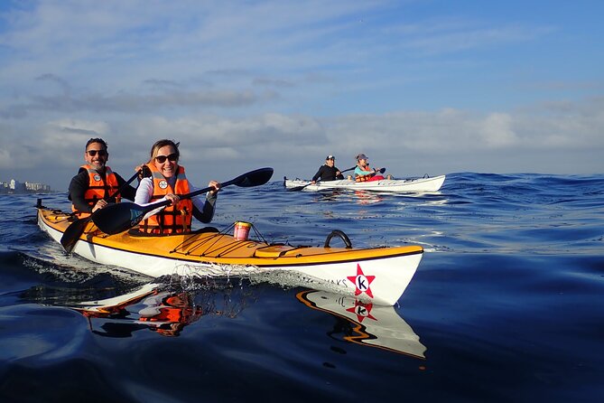 Cape Town Kayak Adventure in Table Mountain Marine Reserve - The mountain views are better from sea level