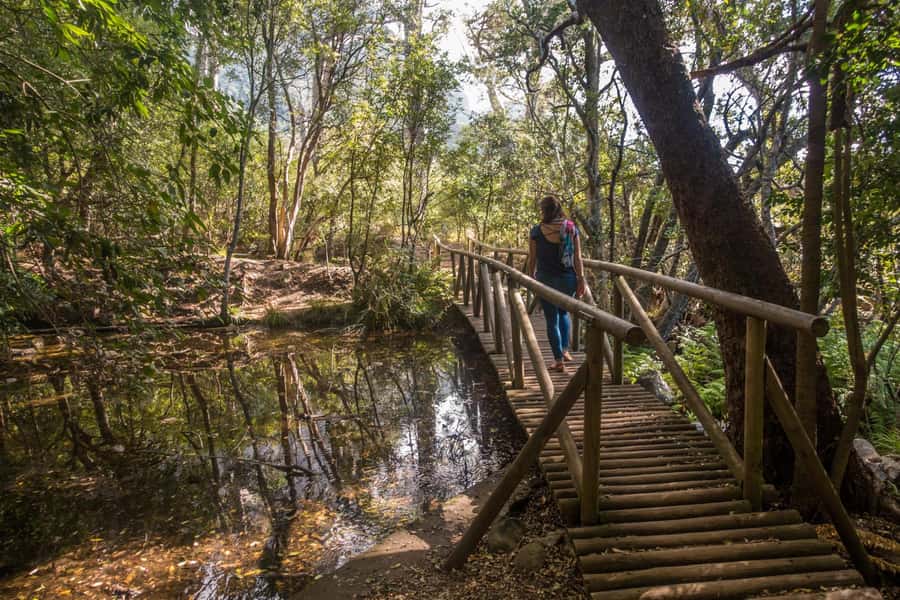 Cape Town: Kirstenbosch Botanical Garden Entry Ticket - Fynbos, Waterwise, and Succulent gardens