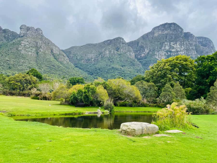 Cape Town: Kirstenbosch Botanical Garden Entry Ticket - Planning your day at Kirstenbosch