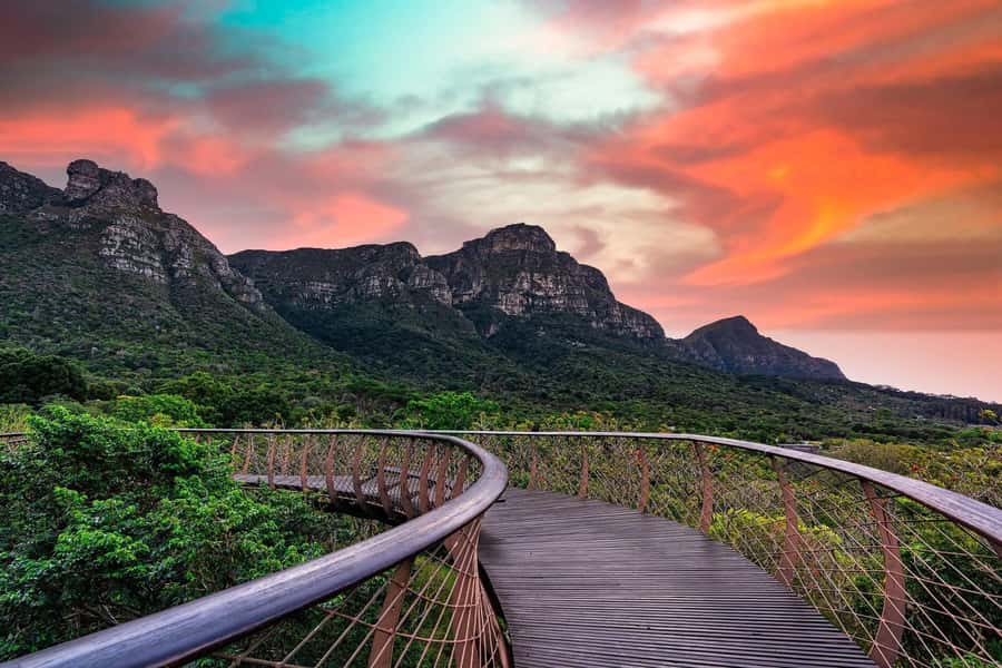 Cape Town: Kirstenbosch Botanical Garden Entry Ticket - Should you book the Kirstenbosch entry ticket?