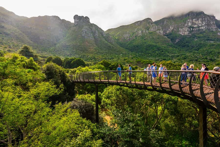 Cape Town: Kirstenbosch Botanical Garden Entry Ticket - Starting with the Boomslang walkway