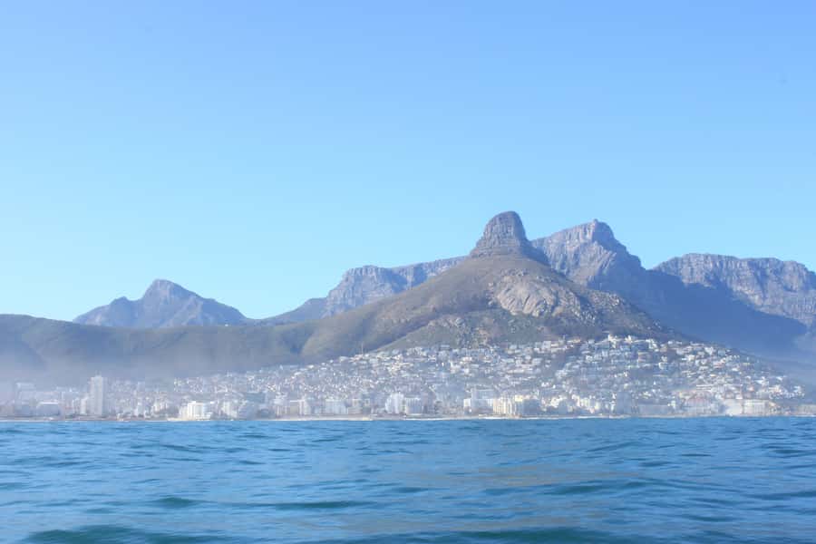 Cape Town: Marine Big 5 Ocean Safari from V&A Waterfront - Views beyond the wildlife