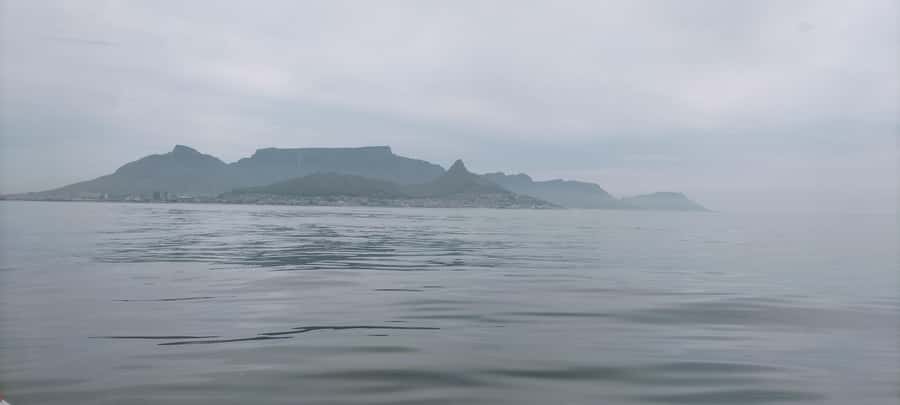 Cape Town: Marine Biologist Led Safari Tour - V&A Waterfront - Is $84 good value?
