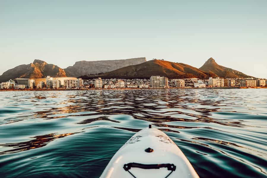 Cape Town: Marine Life Kayak Tour From the V&A Waterfront - Key points to know before you paddle