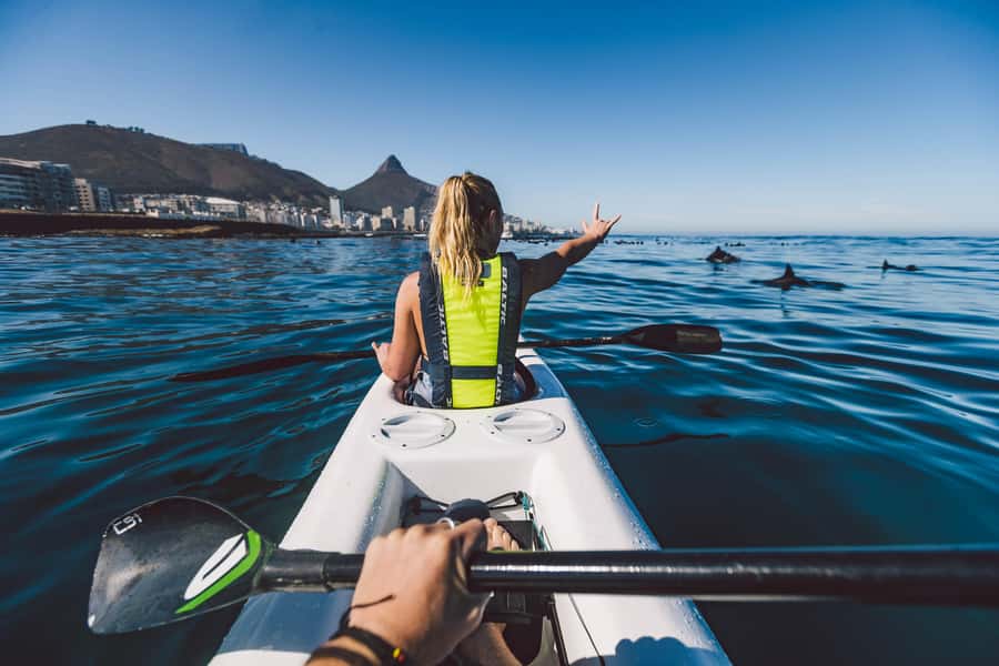 Cape Town: Marine Life Kayak Tour From the V&A Waterfront - Watching for dolphins, seals, and penguins