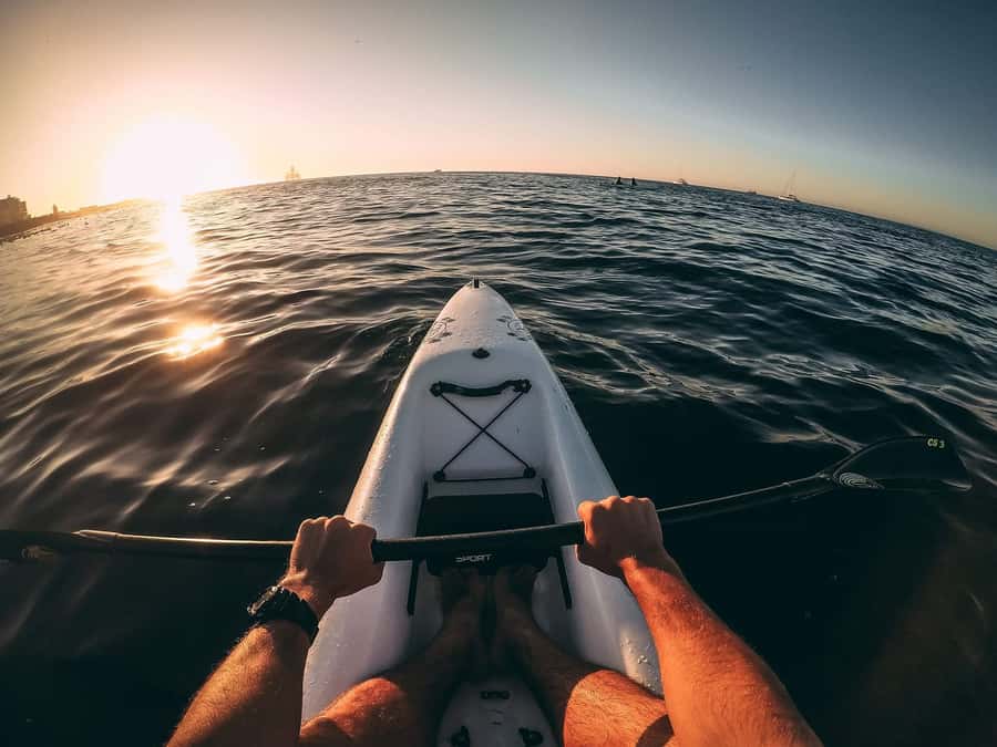 Cape Town: Marine Life Kayak Tour From the V&A Waterfront - How long the two-hour outing feels