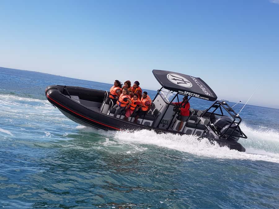 Cape Town Ocean Safari: Speed Boat Adventure in Table Bay - The first rush: a speedboat ride out of the harbor
