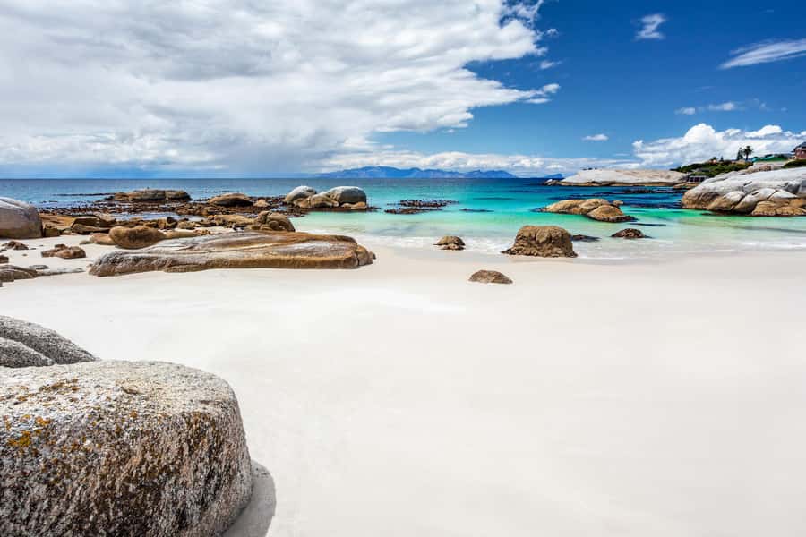 Cape Town: Penguin Watching at Boulders Beach Half Day Tour - What $37 buys you, and what it does not