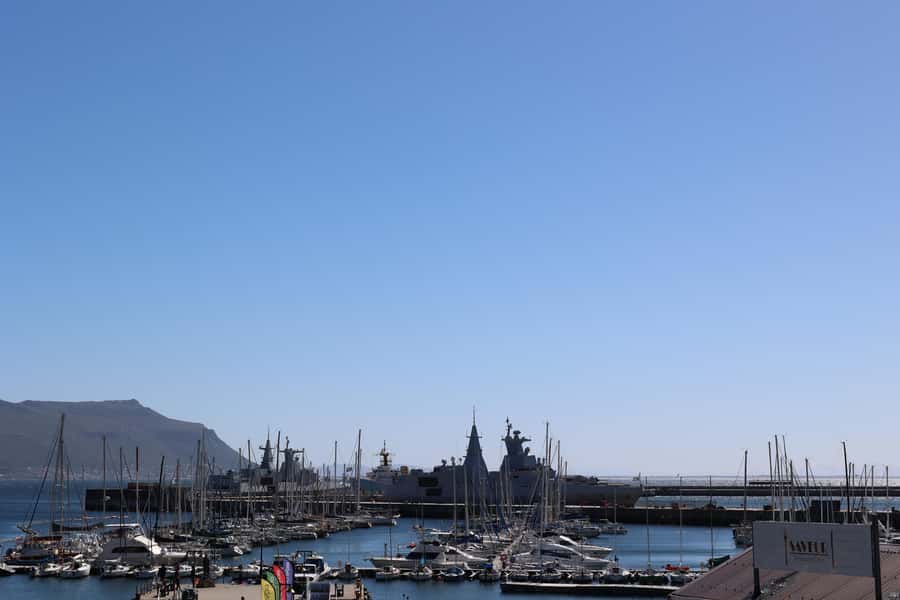 Cape Town: Penguin Watching at Boulders Beach Half Day Tour - Who should book this half-day trip?