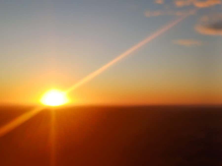 Cape Town: Penguins and Cape of Good Hope Sunset Tour - Why this short tour works
