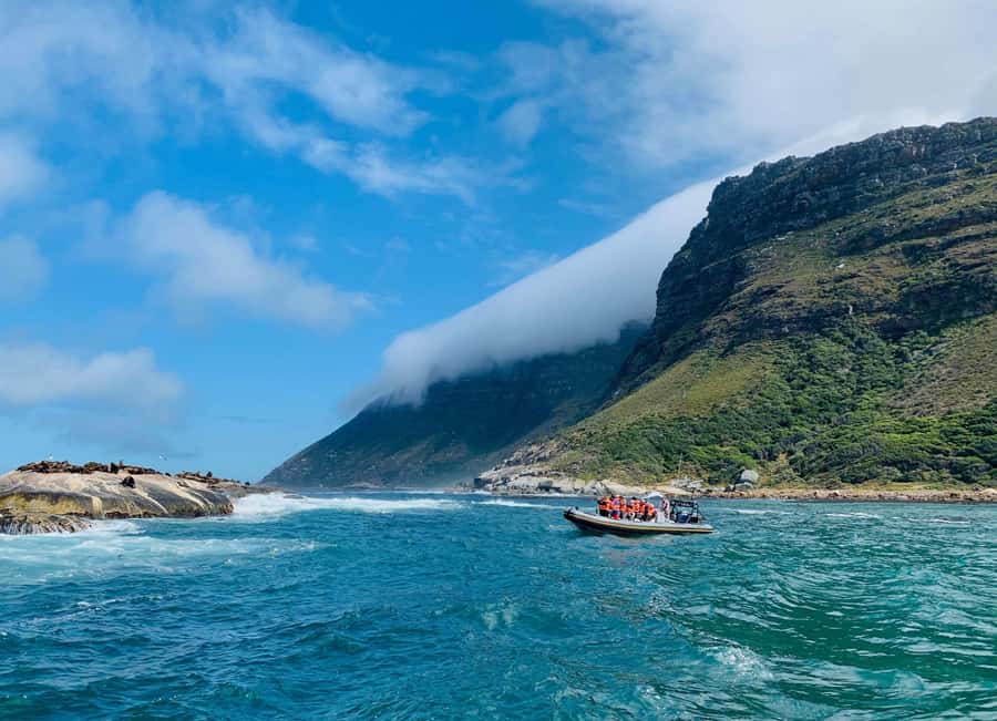 Cape Town: Penguins & Cape of Good Hope Day Tour with Pickup - Why this Cape Peninsula day works so well