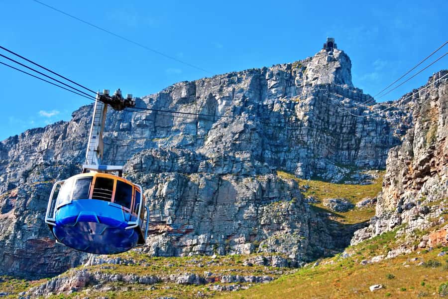 Cape Town: Penguins & Cape of Good Hope Half Day Shared Tour - Who should book this Cape Peninsula tour?