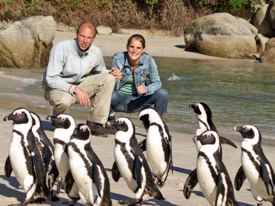 Cape Town: Penguins & Cape of Good Hope Half Day Shared Tour - Along False Bay from Muizenberg to Simon’s Town