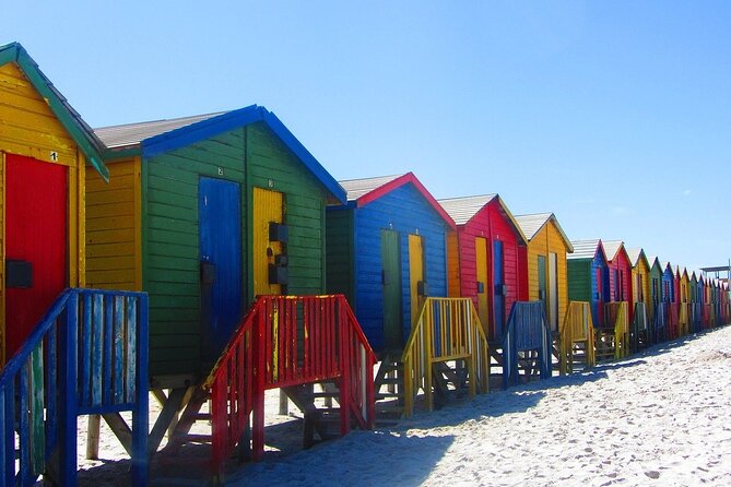Cape Town Private Group Tour to Cape of Good Hope and Boulders Penguins Colony - Chapman’s Peak and Hout Bay choices
