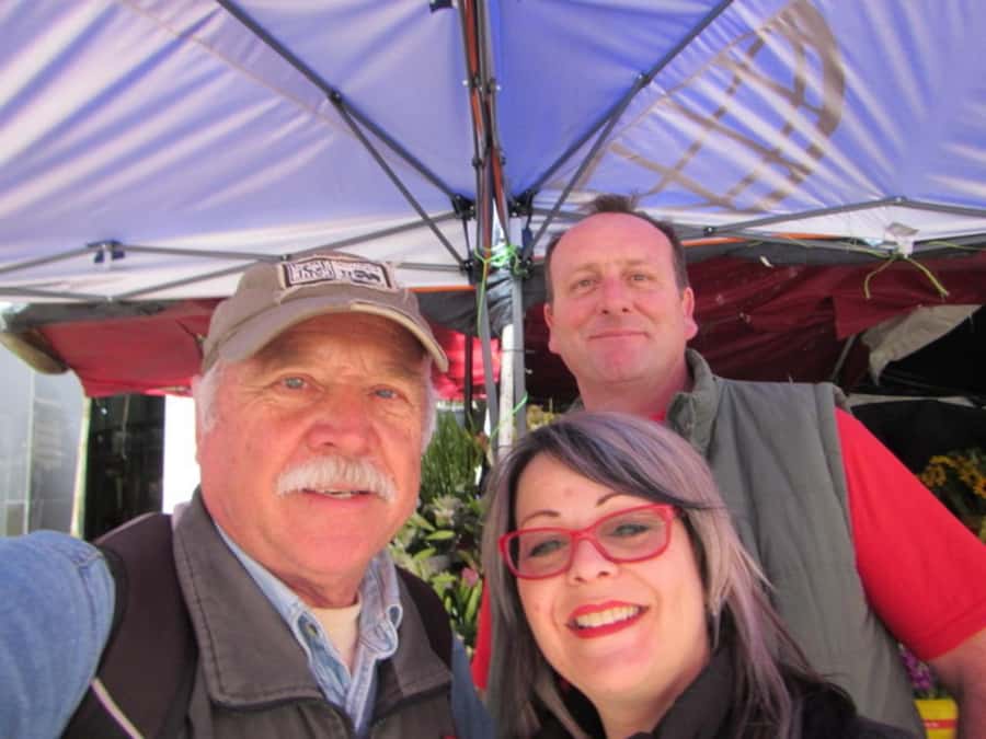Cape Town: Private Walking Tour with a Local - Starting near the Cape Wheel