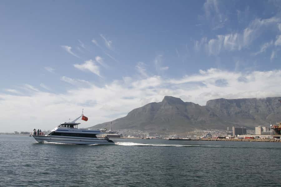 Cape Town: Scenic 1-Hour Coastal Catamaran Cruise - FAQ