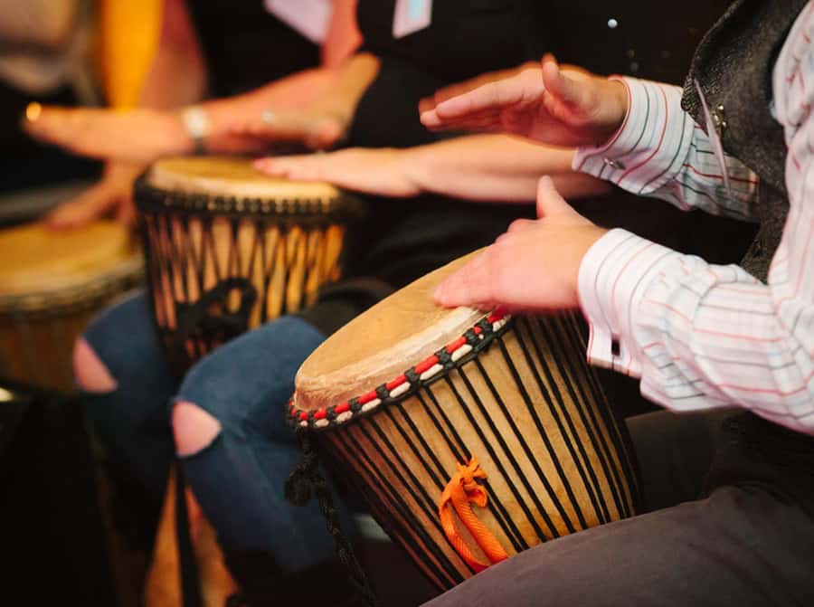 Cape Town: Silvermist Estate Wine Tasting & Drumstruck Show - Key points to know before you book
