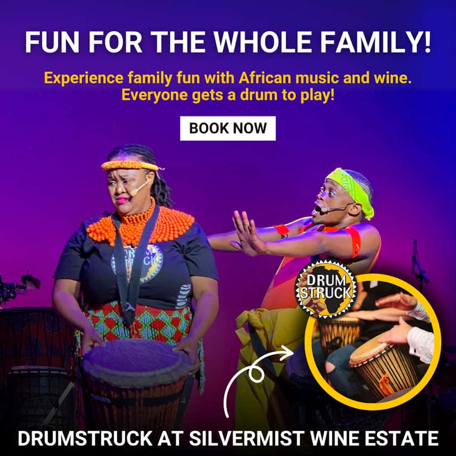 Cape Town: Silvermist Estate Wine Tasting & Drumstruck Show - What happens during the 90-minute core experience