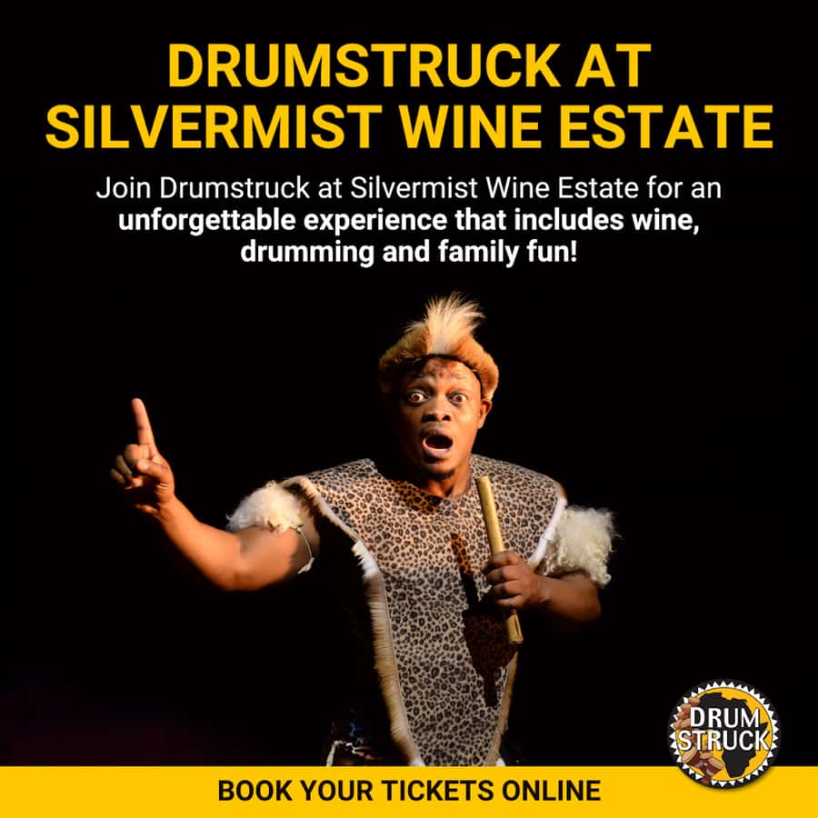 Cape Town: Silvermist Estate Wine Tasting & Drumstruck Show - Who will enjoy this most