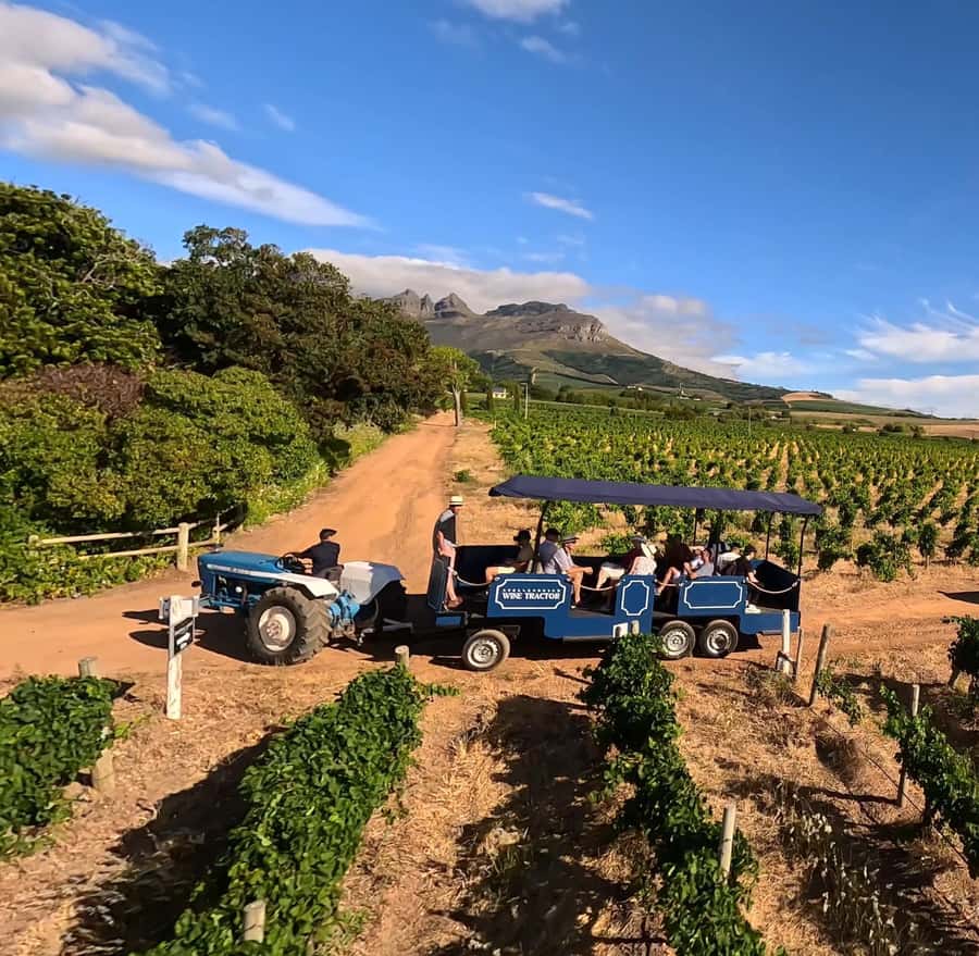 Cape Town: Stellenbosch Hop-On Hop-Off Tractor Transfer - How the tractor day works