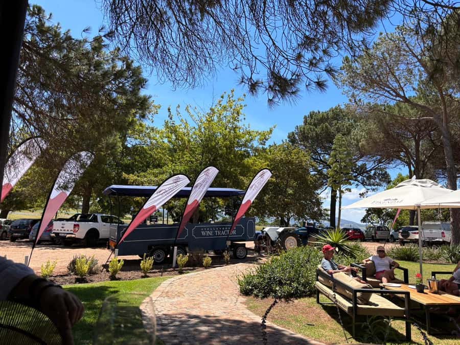 Cape Town: Stellenbosch Hop-On Hop-Off Tractor Transfer - The 65-minute rule is the sweet spot