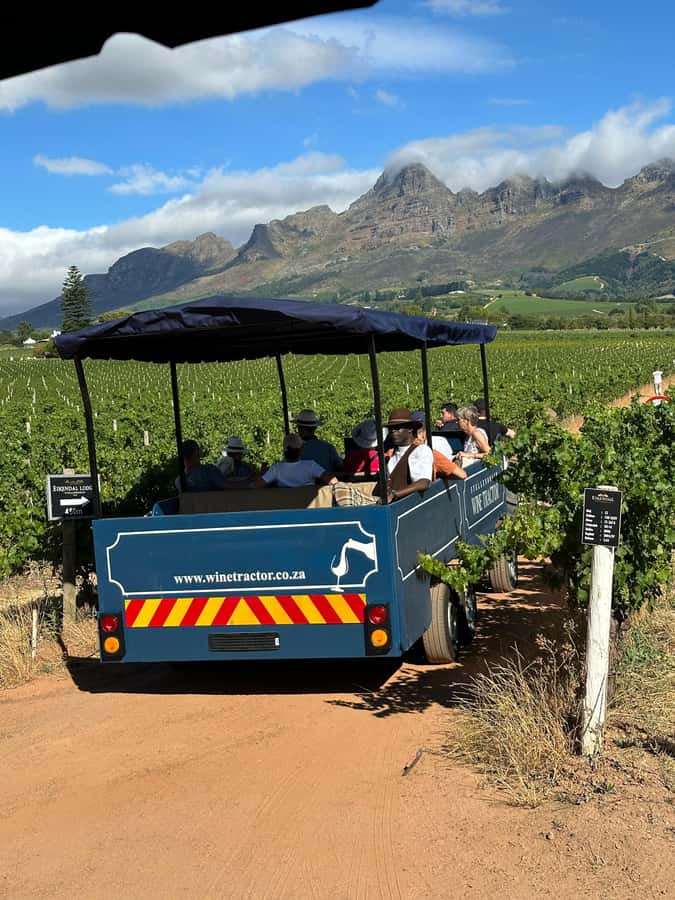 Cape Town: Stellenbosch Hop-On Hop-Off Tractor Transfer - Booking and timing tips