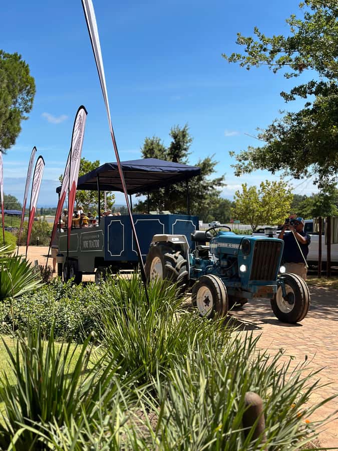 Cape Town: Stellenbosch Hop-On Hop-Off Tractor Transfer - What you find at the wine farms