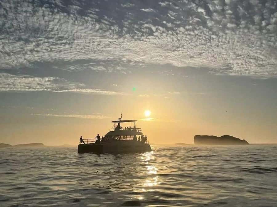 Cape Town: Sunset Champagne Cruise - What makes this Cape Town sunset cruise worth considering
