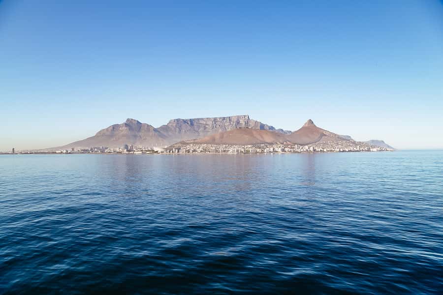 Cape Town: Sunset Champagne Cruise - Wildlife sightings are a bonus, not the reason to book