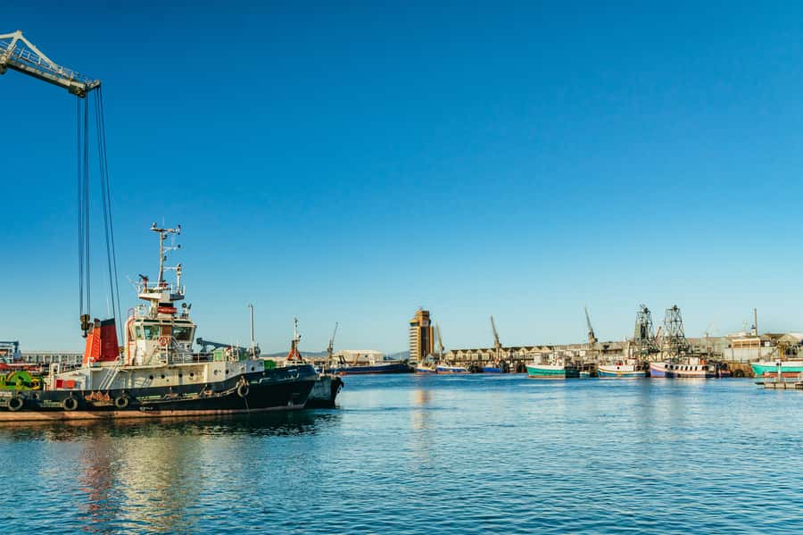 Cape Town: Sunset Champagne Cruise and 3-Course Dinner - Small details that improve the night