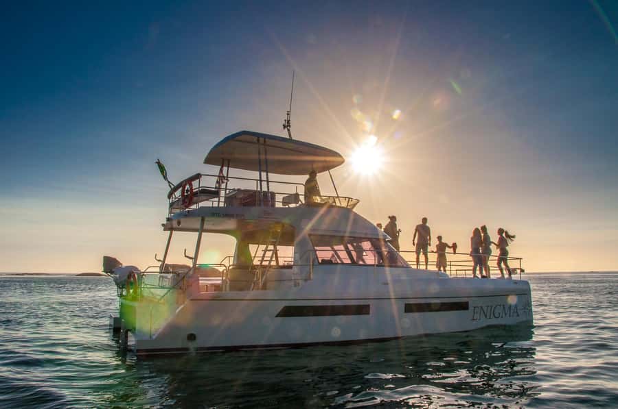 Cape Town: Sunset Champagne Cruise and 3-Course Dinner - What the mountain views are really like
