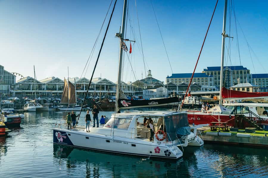 Cape Town: Sunset Champagne Cruise and 3-Course Dinner - Is $78 a fair price?