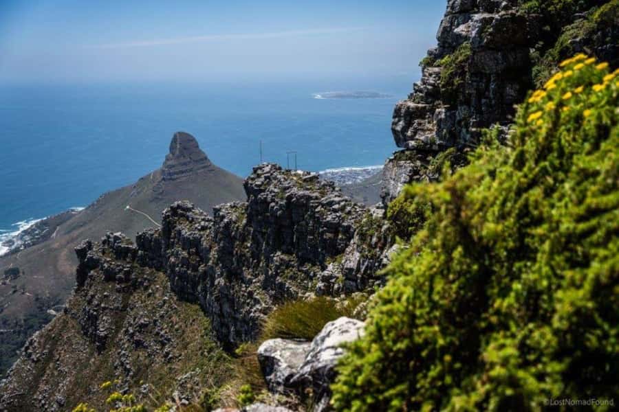 Cape Town: Table Mountain Abseiling Experience - Who should book this experience?