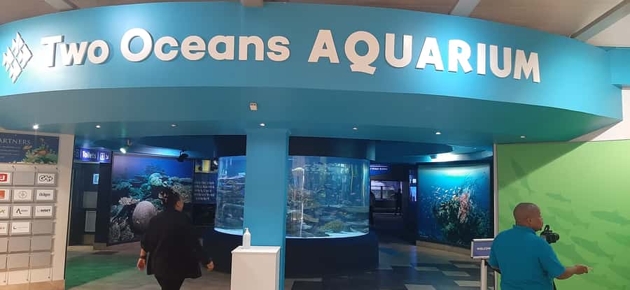 Cape Town: Table Mountain and Robben Island Tour - Two Cape Town icons in one demanding day