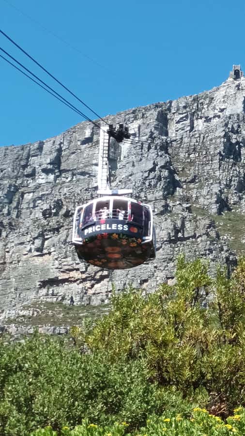 Cape Town: Table Mountain Cable Car Ticket - How the seven-day validity helps