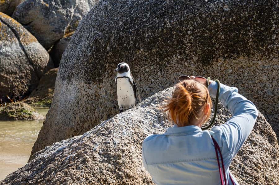Cape Town: Table Mountain & Cape of Good Hope Full-Day Tour - Atlantic beaches and Maiden’s Cove open the coastal route