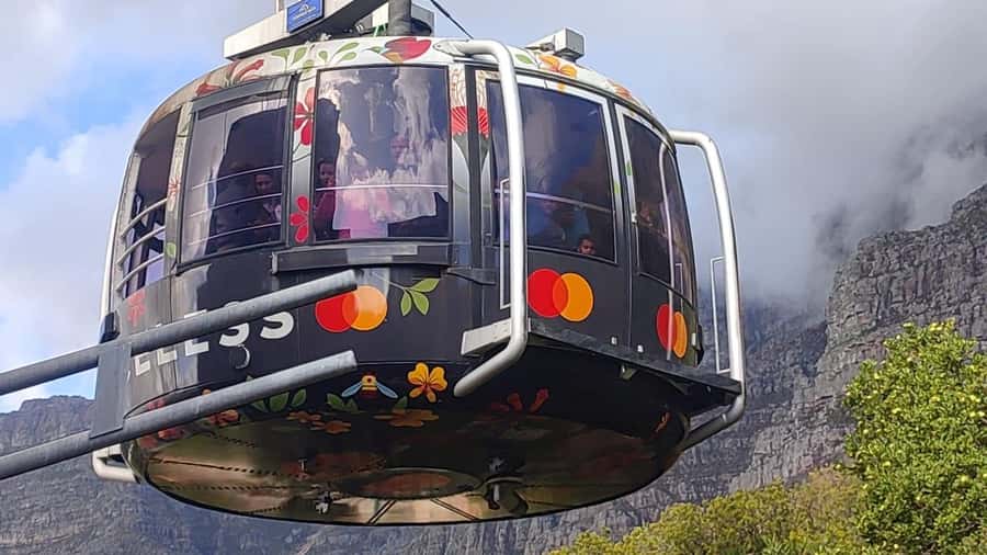 Cape Town: Table Mountain, Cape Point, & Penguins Group Tour - Key points to know before booking