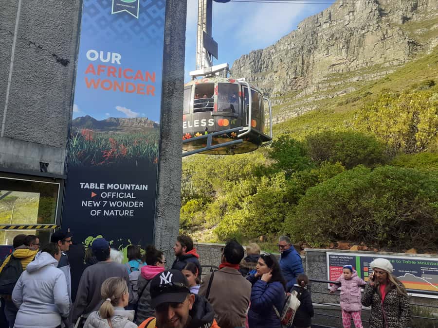 Cape Town: Table Mountain, Cape Point, & Penguins Group Tour - One long day around the Cape Peninsula