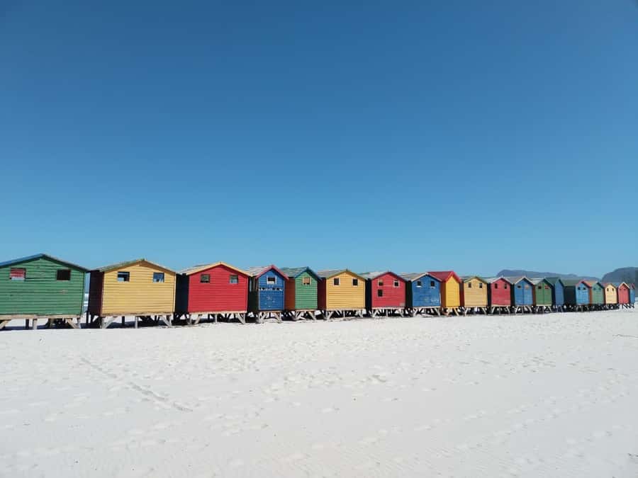 Cape Town: Table Mountain, Cape Point, & Penguins Group Tour - Chapman’s Peak, a road built for the view