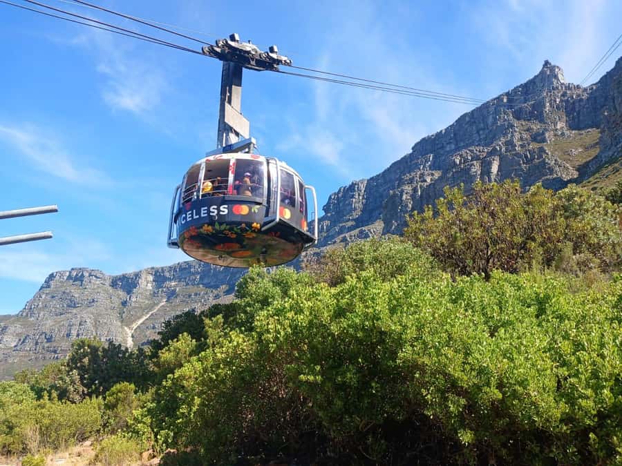 Cape Town: Table Mountain, Cape Point, & Penguins Group Tour - Lunch in Simon’s Town
