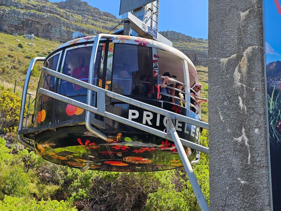 Cape Town: Table Mountain, Cape Point, & Penguins Group Tour - Table Mountain, the day’s headline view